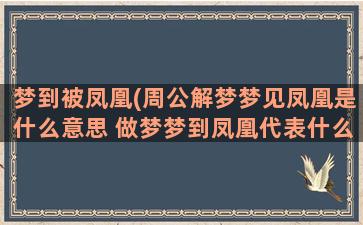 梦到被凤凰(周公解梦梦见凤凰是什么意思 做梦梦到凤凰代表什么好不好)